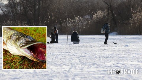 У Дніпропетровській області заборонять ловити щуку: дати