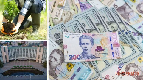 У Дніпрі міська влада хоче витратити 72 мільйони бюджетних коштів на зелені насадження