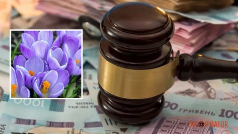 Находятся в Красной Книге: в Днепропетровской области будут штрафовать за срыв первоцветов