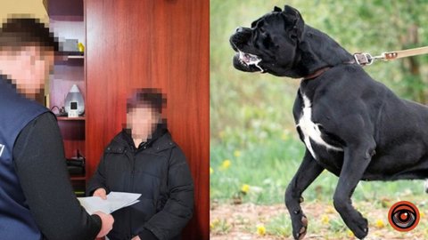У Дніпрі повідомили про підозру власниці собаки, після нападу якого дитині ампутували ногу: тварину вбили невідомі