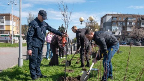 В Каменском высадили деревья и кустарники в зеленой зоне напротив железнодорожного вокзала на проспекте Свободы