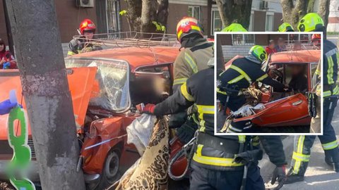 В Кривом Роге ВАЗ врезался в столб: водителя из поврежденной машины доставали спасатели