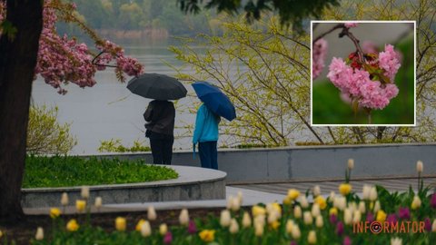 Заморозки и сильный ветер: синоптики предупреждают об изменении погоды в Днепре и области