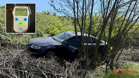 В Днепропетровской области Audi вылетела в кювет: 36-летняя водитель была под хмельком
