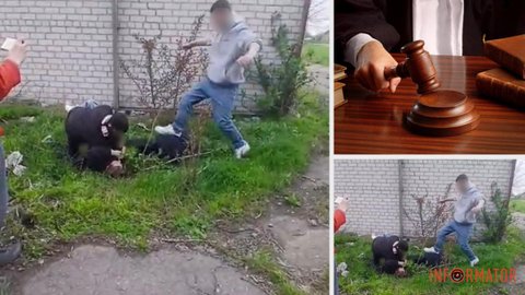 В Самаровском районе будут судить двух подростков за уличную драку