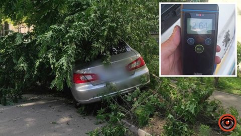У 13 разів перевищив «норму»: у Дніпрі п’яний водій Mitsubishi влетів у дерево