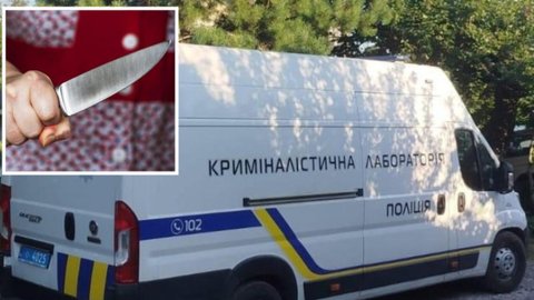 В Каменском 41-летняя женщина зарезала 66-летнего сожителя и пыталась обмануть полицейских