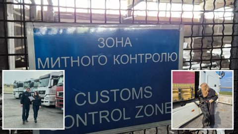 Митниця у Дніпропетровській області за січень-вересень виявила порушень на понад 213 мільйонів гривень