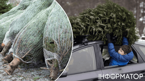 У метро з ялинкою - як з пасажиром: доведеться купити окремий квиток