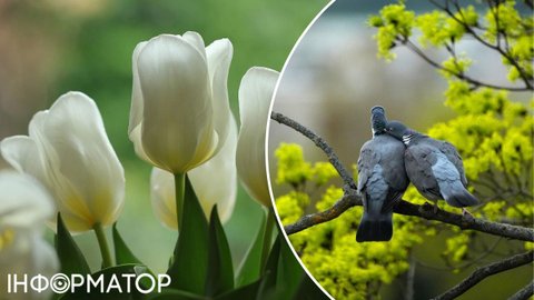 Какова будет погода на Пасху - прогноз на завтра, 20 апреля