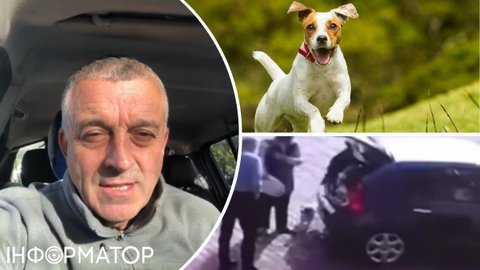 Нардеп Мазурашу нібито вкрав породистого собаку: може брехня, але є відео