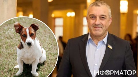 Дебилизм и абсурд: Мазурашу настаивает, что не похищал собаку – у него три свои