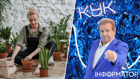 Яке сьогодні, 9 листопада, свято: День працівників культури та садівників України