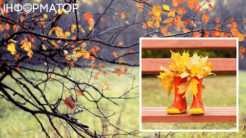 Синоптики попередили українців про небезпеку – прогноз погоди на 10 листопада