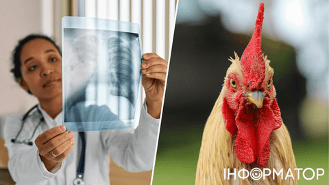 Какой сегодня, 12 ноября, праздник: День куриного супа и борьбы с пневмонией