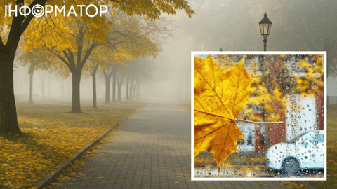 У синоптиков спросили, чего ожидать, и они ответили: У-у-у-х – прогноз погоды на 13 ноября