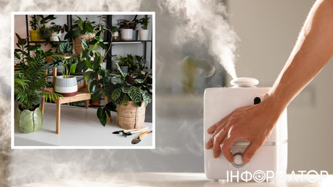 Високі технології дісталися квітникарів: продається гаджет, який рятує рослини від стресу