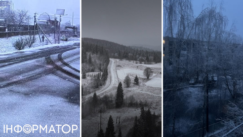 Перший сніг вже випав в Україні: які регіони накрило