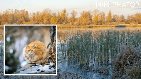 Ситуація складна, – кажуть синоптики: прогноз погоди на 23 листопада