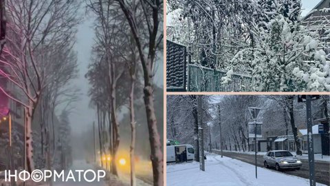 Зима близько! На заході України снігу вже вище коліна