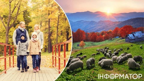 Полный откат зимы – прогноз погоды на 26 ноября