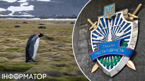 Яке сьогодні, 1 грудня, свято: День Антарктиди та працівників прокуратури України