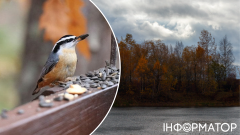 Весна стала ближче, і всі це відчують – прогноз погоди на 2 грудня