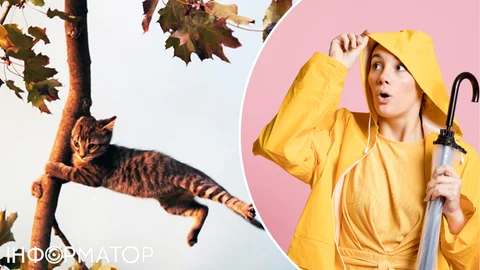 Вітер в Україні так швидко не вщухне - прогноз погоди на 6 грудня