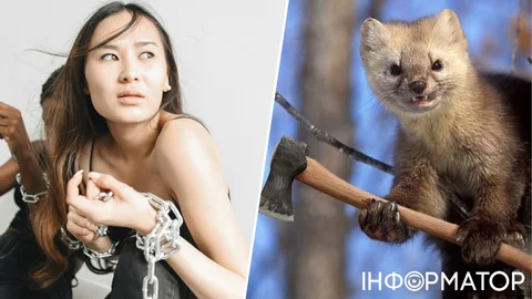 Яке сьогодні, 10 грудня, свято: День прав людини та захисту тварин