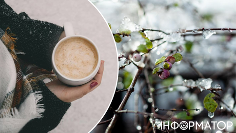 Зимняя сказка закончилась  – прогноз погоды на 15 декабря