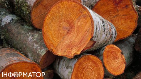 Названо породи дерев, найкращих для опалення