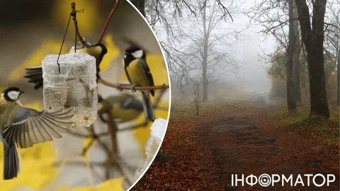 В Украине намечаются изменения - прогноз погоды на 22 декабря