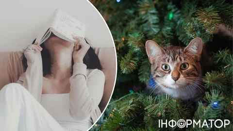 Какой сегодня, 2 января, праздник: Кошачий Новый год и День интроверта