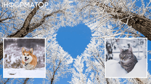 Украина не долго радовалась снегу - прогноз погоды на 2 января