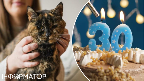 Пережила вже двох власниць: сама стара кицька у світі відгуляла день народження