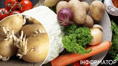 Фатальная ошибка: почему помидоры нельзя хранить вместе с луком и картофелем