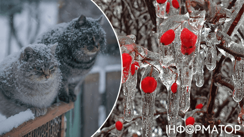 Ходят табунами: Украину охватили циклоны и антициклоны – прогноз погоды на 7 января