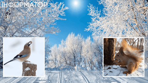 Западные области Украины пострадают первыми – прогноз погоды на 9 января