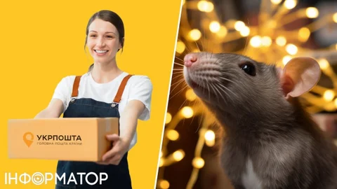 Попри витрати 300 тисяч на дератизацію, миші все одно дістаються до посилок Укрпошти