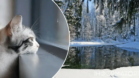 В Украину наконец возвращается солнце – прогноз погоды на 21 января