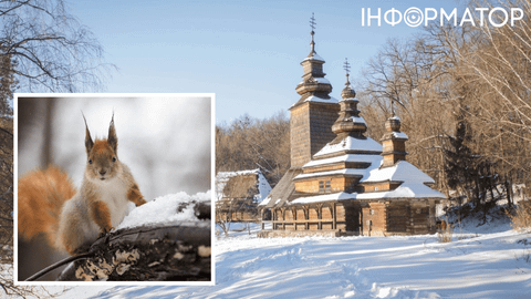 В Україну йде європейська зима – прогноз погоди на 23 січня