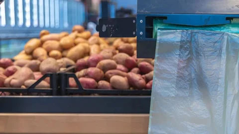 В супермаркетах України дорожчає картопля: причини, огляд цін