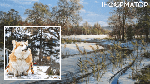 Азиатский антициклон набрался сил и пришел в Украину – прогноз погоды на 30 января