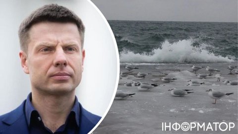 Наступ Росії на Затоку: Гончаренко розкритикував військового експерта за гучну заяву про плани ворога на Одещину