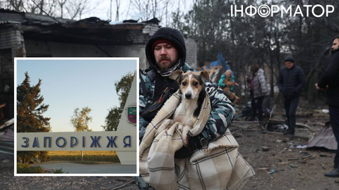 Росіяни ранковим ударом по Запоріжжю пошкодили притулок для собак: тварини постраждали