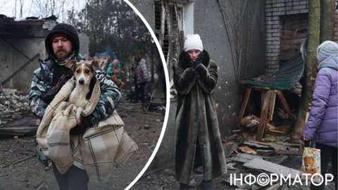 Росіяни ранковим ударом по Запоріжжю пошкодили притулок для собак: тварини постраждали