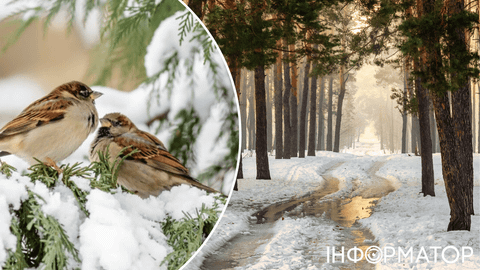 Погода снова будет меняться – прогноз синоптиков на 8 февраля