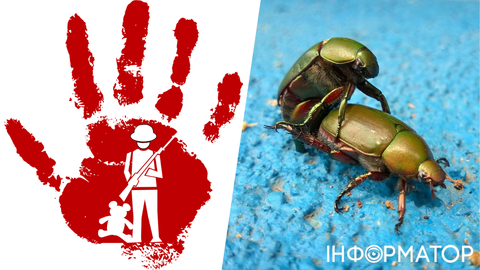 Какой сегодня, 12 февраля, праздник: День красной руки и сексуального здоровья