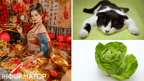 Какой сегодня, 17 февраля, праздник: Китайский новый год, День кота и капусты