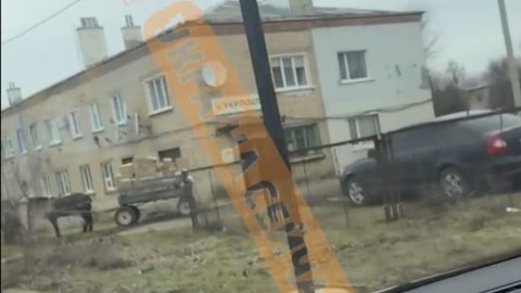 Поки Смілянський розпродає автівки, поштарі Укрпошти возять посилки конями